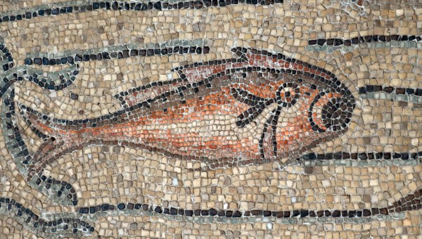 Corner Item Image - Peixe: um alimento bíblico altamente simbólico 