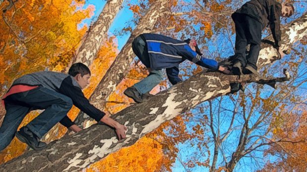 3 garotos subindo em uma árvore
